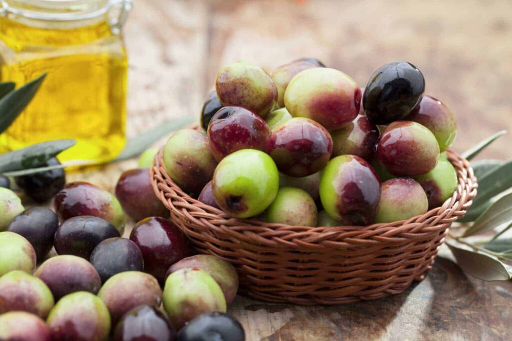 aceitunas