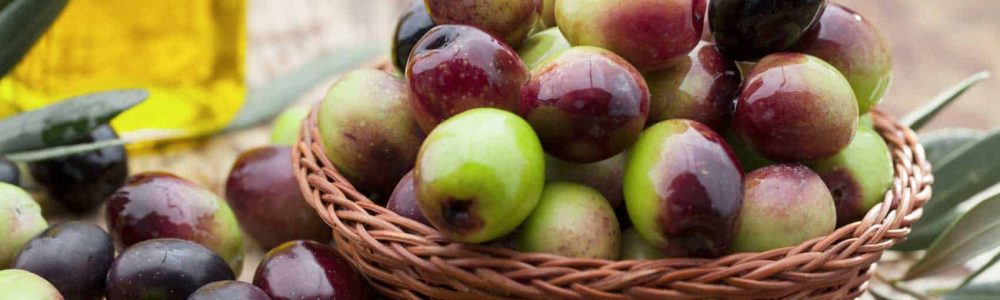 aceitunas
