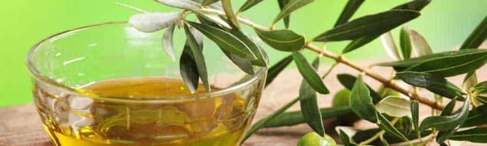 02-activities-mosaic-03B