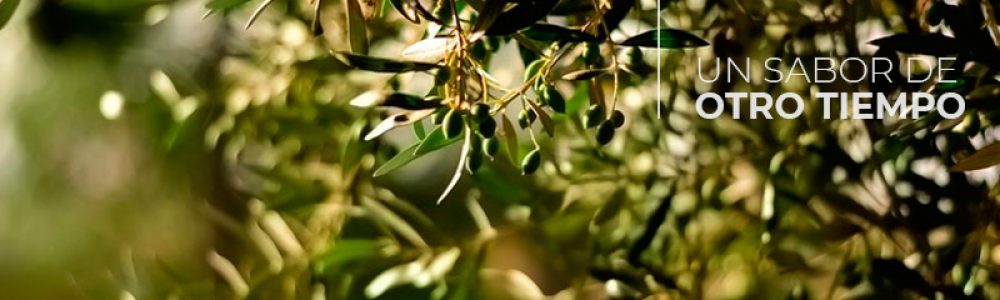 aceite ecológico