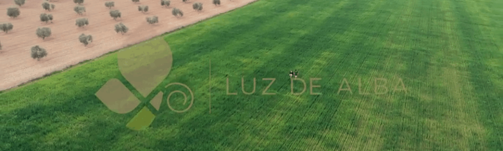 finca luz de alba
