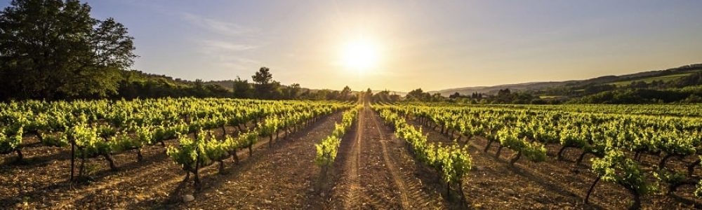 iStock_000076455703_Full-900X600